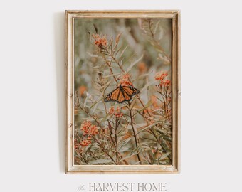 Monarch Butterfly On Flower, Butterfly Home Decor, Botanical Wall Art, Summer Butterfly Photo, Monarch Butterfly Printable