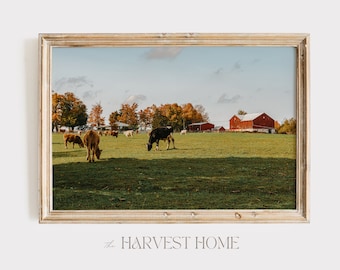 Milk Cows Grazing In Pasture Print, Autumn Ranch Scenery, Classic Red Barn, Milk Farm Printable, Farmhouse Scenery Decor, Rustic Cow Artwork