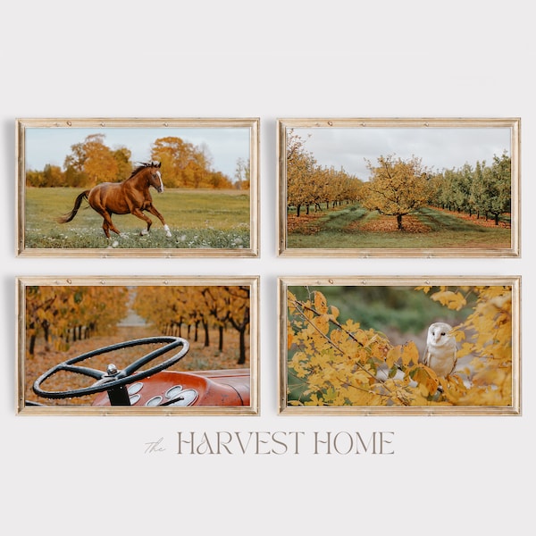 Samsung Frame TV Art SET | Fall On The Farm | Tractor In Orchard Photo | Horse Running TV Art | Barn Owl In Tree Frame Tv