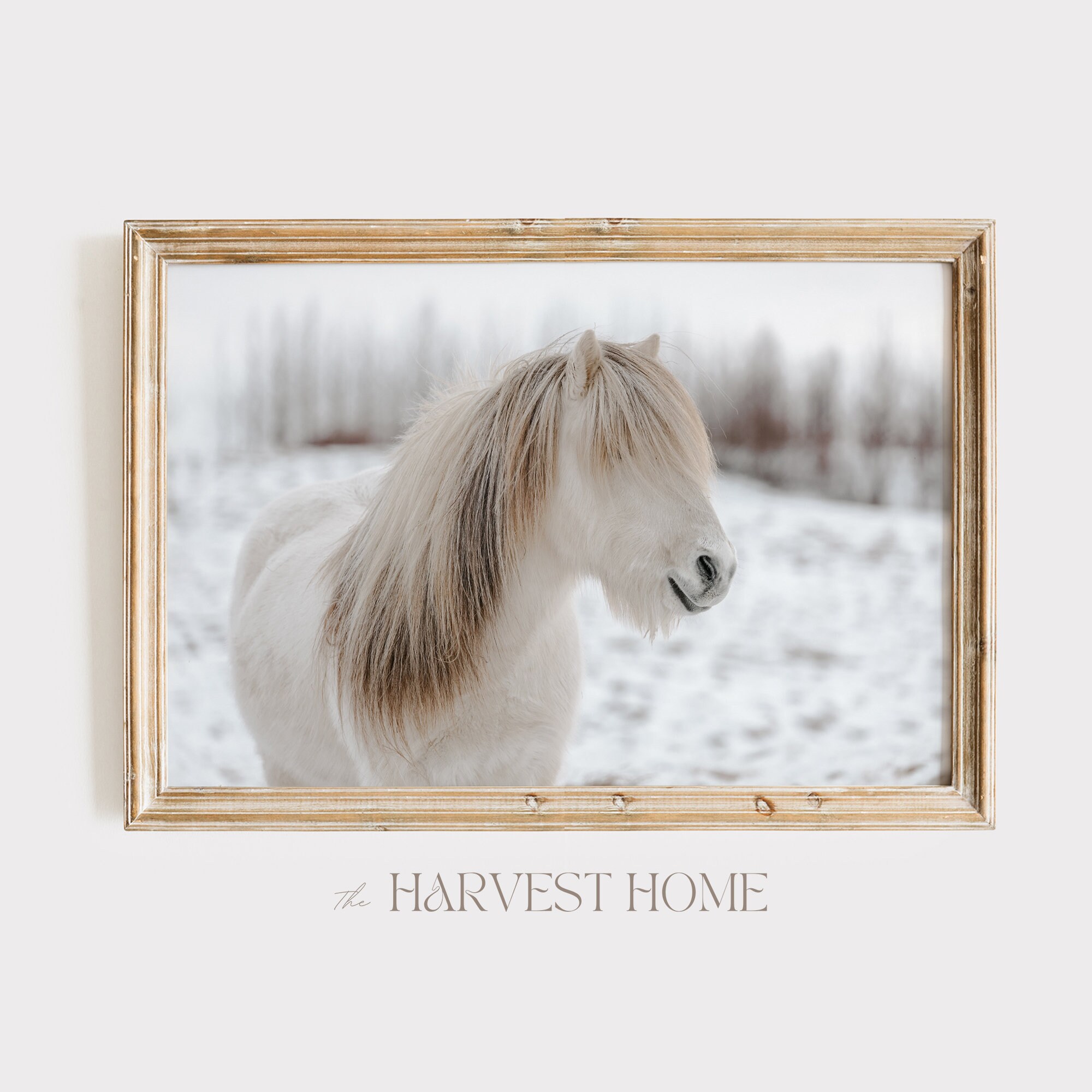 Snowy Horses Gallery Art Printable Set of 5, Rustic Farmhouse Decor ...