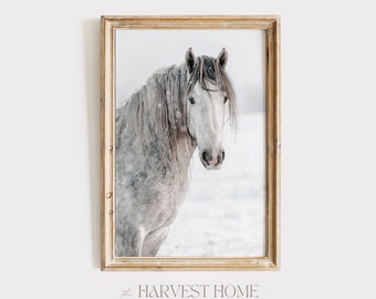 Majestic Gray Horse Poster, Andalusian Horse Wall Art, Grey Winter Horse Photography, Horse In The Snow, Rugged Winter Poster, Horse Print