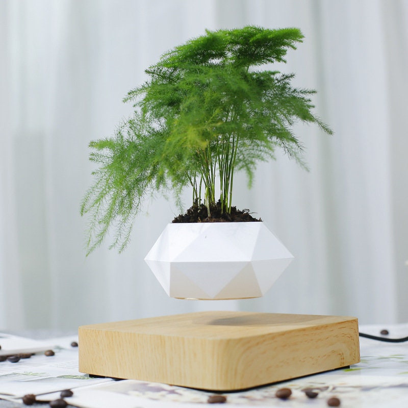 Levitation plant pot Relax-Decor™ – RelaxDec