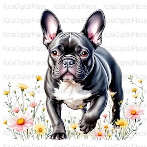 Könnte beinhalten: Eine digitale Illustration eines schwarzen French Bulldogs mit weißen Markierungen, der in einem Feld mit bunten Wildblumen steht. Der Hund hat braune Augen und blickt nach vorne. Die Blumen sind rosa, gelb und weiß.