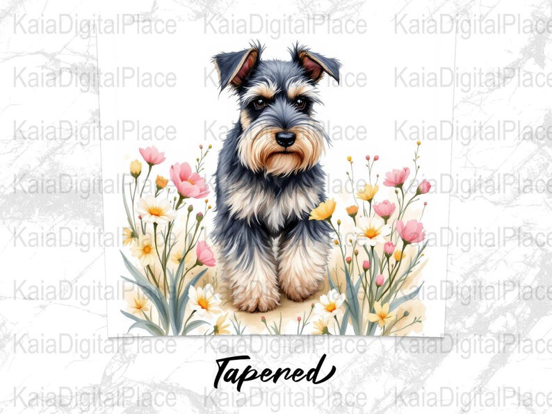 Cute Schnauzer Dog With Floral Background Digital Tumbler Wrap PNG File ...