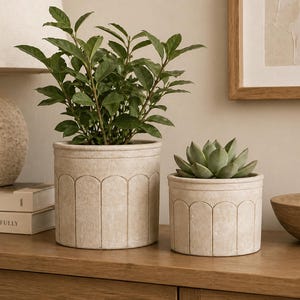 Maceta de cemento, maceta rústica beige, maceta de piedra texturizada, tamaño pequeño o grande, maceta minimalista para plantas de interior, decoración del hogar