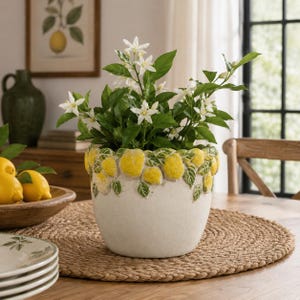 Può includere: Un vaso da fiori in ceramica bianca con un rilievo strutturato di limoni gialli e foglie verdi lungo il bordo superiore. Il vaso contiene una pianta verde con fiori bianchi. Il design segue un tema botanico.