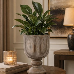 May include: A large, weathered-look, pedestal planter filled with lush green foliage. The ribbed, urn-shaped pot sits on a round, dark wood table. A candle in a glass holder and books are also on the table, creating a cozy, inviting atmosphere.