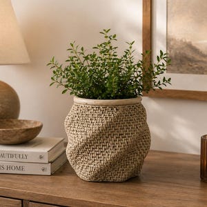 Puede incluir: Una maceta beige tejida con una planta verde en su interior, colocada sobre una superficie de madera. La maceta tiene un diseño texturizado, similar a una cesta. Se ven un cuenco de madera pequeño y dos libros. Una vela encendida en un portavelas y una lámpara también están en el fondo.