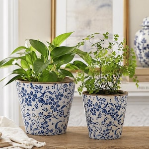 May include: Two ceramic flower pots with blue floral patterns. The larger pot holds a leafy green plant, and the smaller pot contains a fern. Both pots sit on a wooden surface, creating a decorative display.