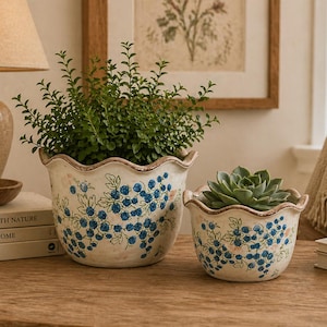 May include: Two ceramic plant pots with scalloped edges on a wooden surface. The pots are off-white with blue floral designs. One pot contains a green plant, and the other holds a succulent. A lamp and books are in the background.