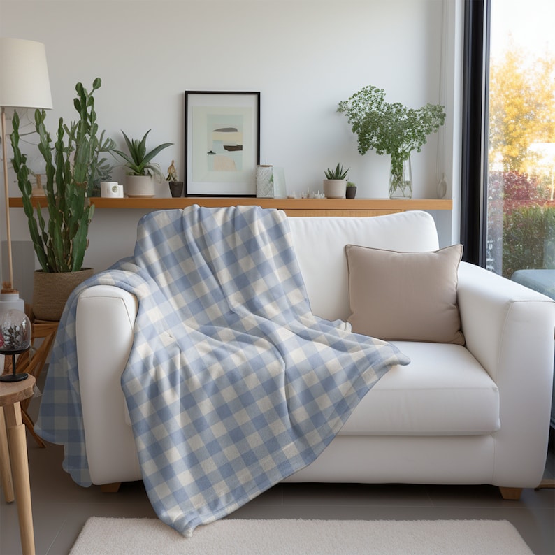 May include: A white couch with a blue and white checkered throw blanket. The couch is in a living room with a window and a shelf with plants.
