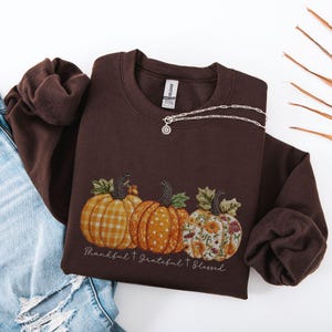 May include: A brown sweatshirt featuring an embroidered design of three pumpkins in fall colors. The pumpkins have different patterns, including plaid, polka dots, and floral. The text "Thankful + Grateful + Blessed" is below the pumpkins. A silver necklace is on top of the sweatshirt.