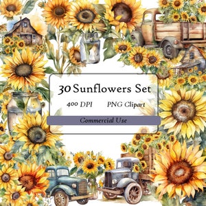 Bellissimo pacchetto di clipart con girasole ad acquerello da 30 immagini, formato PNG stampabile HQ, download istantaneo.