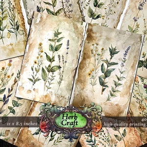 Artesanato de ervas, páginas de diário de lixo de ervas, páginas digitais de boticário, magia de plantas, arte botânica