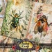 Insect Craft-bugging Out, Insect Junk Journal, Bug Printable ...
