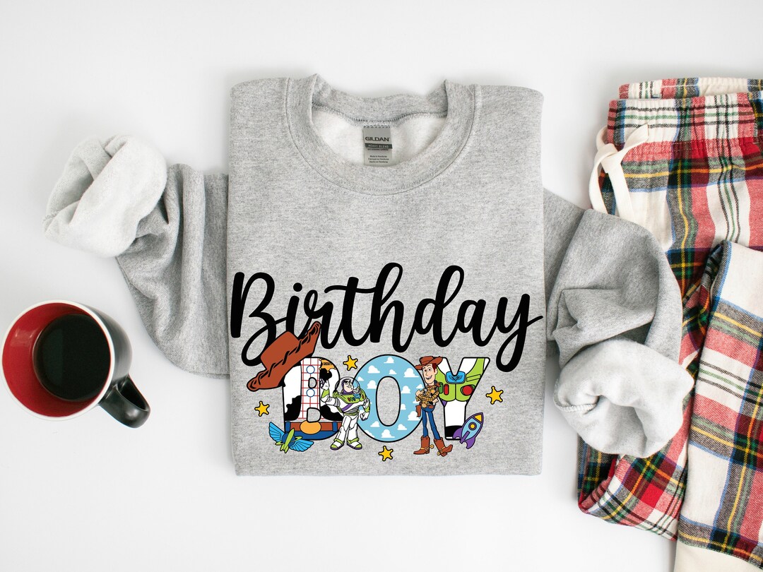 Birthday Boy Sweatshirt, Toys Land Hoodie, Birthday Party Shirt