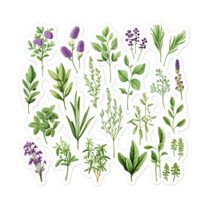 Adesivi per erbe aromatiche - Adesivi per amanti delle erbe - Adesivo Kiss-Cut - Adesivi senza bolle - Adesivi Planner - Adesivo per laptop - Regalo adesivo