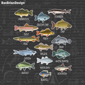 May include: A colorful illustration of 14 different types of fish, each with its name labeled below. The fish are drawn in a cartoon style and are set against a dark gray background with a pattern of fish bones and hooks.