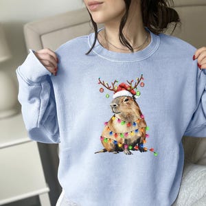 Sweat-shirt à Capuche Drôle 'Capybara' Noël - Taille XS, Neuf Avec étiquettes, Unisexe Adulte