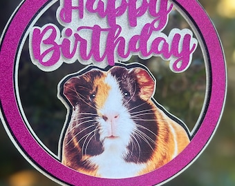 Guinea pig birthday cake topper
