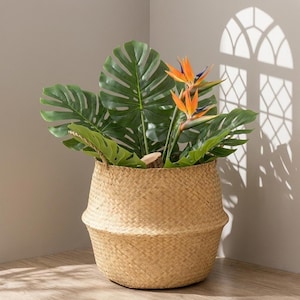 Może przedstawiać: Tkany kosz wypełniony dużymi zielonymi liśćmi monstery i żywymi pomarańczowo-niebieskimi kwiatami strelicji. Kosz wykonany jest z naturalnego, tkanego materiału i stoi na drewnianej powierzchni, z cieniem na ścianie.