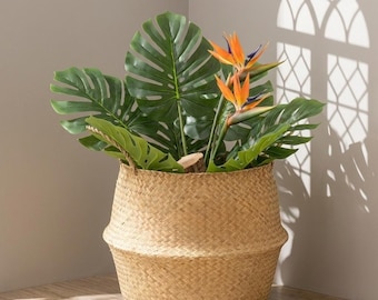 Cesto de vime para plantas em formato de barriga de junco marinho, cesto de vime para plantas, cesto de armazenamento trançado estilo boho, cesto de roupa suja em junco marinho natural, organizador rústico para decoração de casa.