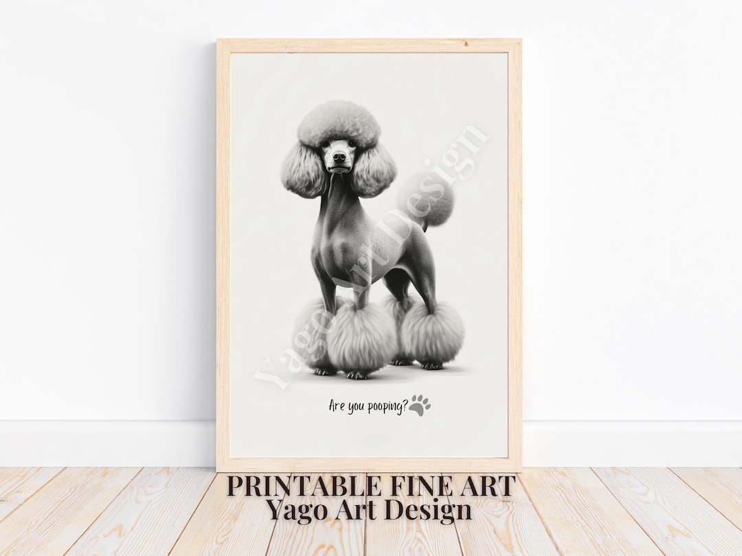 Elegant Poodle Bathroom "are You Pooping" Art, Funny Minimalist Bathroom Decor, Dog Poster ...