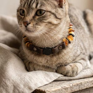 Puede incluir: Un gato atigrado con un collar de cuero marrón adornado con piedras de color ámbar. El collar tiene un cierre negro con un diseño de cara de gato. El gato está acostado sobre una superficie de color neutro.