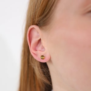 Green Baltic Amber Round Stud Earrings - 925 Sterling Silver