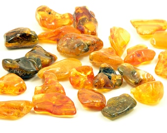 Polished Baltic Amber Stones, Healing Souvenir (5-10g)
