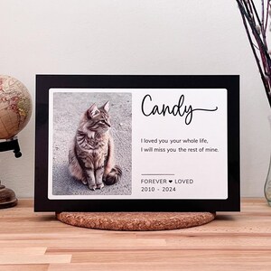 May include: A black framed photo memorial with a picture of a tabby cat. The text reads "Candy", "I loved you your whole life, I will miss you the rest of mine." and "FOREVER LOVED 2010 - 2024".