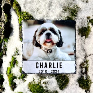 Pet Photo Rock Slate, Photo Plaque, Pet Loss Gift, Dog Memorial Gift, Pet Sympathy Gift, Cat Bereavement Photo Gift, Loss of Pet