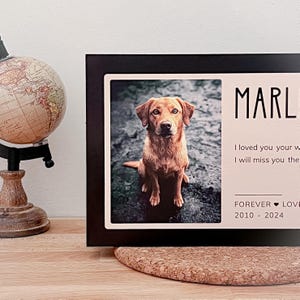 May include: A black framed memorial plaque with a photo of a brown dog. The text reads "MARL I loved you your whole life. I will miss you the rest of mine. FOREVER LOVING YOU 2010 - 2024"