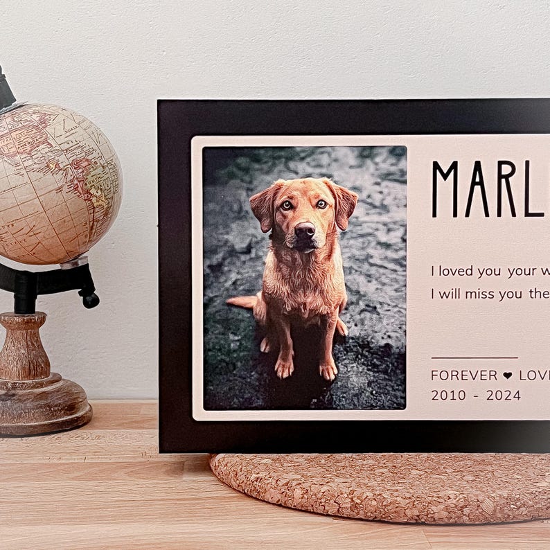 May include: A black framed memorial plaque with a photo of a brown dog. The text reads "MARL I loved you your whole life. I will miss you the rest of mine. FOREVER LOVING YOU 2010 - 2024"