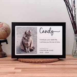 Pet urn wood with photo, cat dog ashes keepsake, custom ashes urn for cat, pet cremation urns White