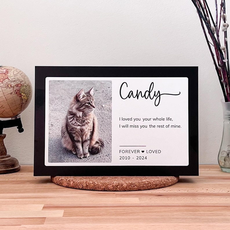 May include: A black framed photo memorial with a picture of a tabby cat. The text reads "Candy", "I loved you your whole life, I will miss you the rest of mine." and "FOREVER LOVED 2010 - 2024".