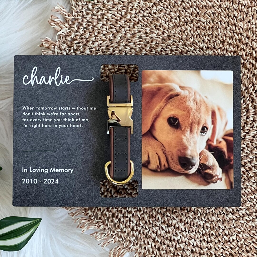 Colar Frame Pet Memorial Collar Frame, Pet Memorial Gift, Dog Memorial, Cat ...