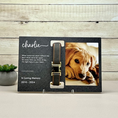Personalized Memorial Dog Photo Frame with Name and Dates, Custom Dog Remembrance Gift, Memorial Photo Print for Beloved Dog, Collar Stand