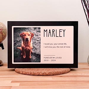 Gepersonaliseerde crematie-urn voor as, huisdier Memorial begrafenis urnen doos, houten decoratieve urn voor hond of kat, asdoos crematie aandenken