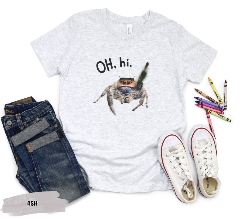 May include: A light grey t-shirt with a jumping spider graphic and the text "OH. hi." printed on the front. The shirt is on a white background.