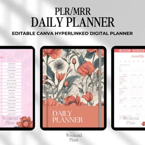 PLR Daily Planner Digital, dfy Undated, MRR Master Resell Rights, Plr Journal, Resell, Notebook, Digital Products, Canva Template