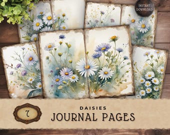 Watercolor Daisy Junk Journal Pages, Vintage Wildflower Printable Scrapbook Paper Download, JJ013