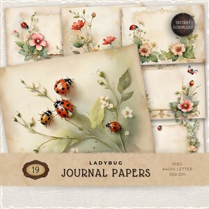 Pack de papier scrapbooking coccinelle : fourniture imprimable de journal indésirable (téléchargement numérique, 19 modèles) JJ009