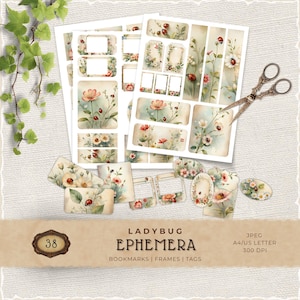 Printable Lady Bug Ephemera, Scrapbook Supply, Junkjournal Ephemera, Paper Crafting, Insect Graphics, Embellishment Ephemera Pack, JJ009