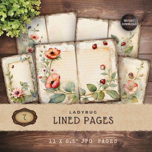 May include: A set of vintage-style lined pages with floral and ladybug illustrations. The pages feature watercolor-style artwork of red poppies, pink flowers, and green leaves. The text "LADYBUG LINED PAGES" is displayed, along with the dimensions of the pages: 27.9 x 21.6 cm.