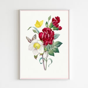 Botanical Plant,Botanical poster Printable, Flowers Poster, Botanical Prints Wildflower, Floral Wall Art, Vintage garden poster, Floral Art,