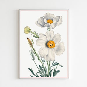 Botanical Plant,Botanical poster Printable, Flowers Poster, Botanical Prints Wildflower, Floral Wall Art, Vintage garden poster, Floral Art,