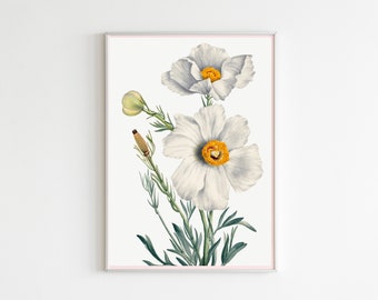 Vintage Wildblumen Druck, Floral Wandkunst (Digitaler Download)