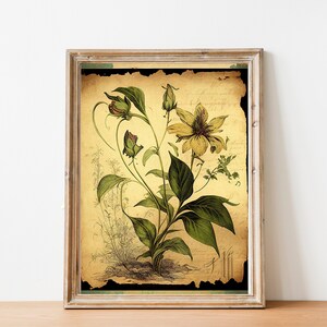 Vintage Garden Poster,Botanical Plant,Botanical poster Printable, Flowers Poster, Botanical Prints Wildflower, Floral Wall Art,  Floral Art,