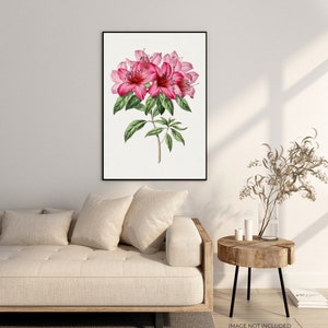 Botanical Plant,Botanical poster Printable, Flowers Poster, Botanical Prints Wildflower, Floral Wall Art, Vintage garden poster, Floral Art,